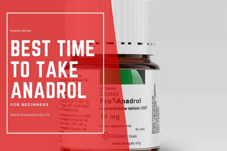 Articles Image Best time to take Anadrol