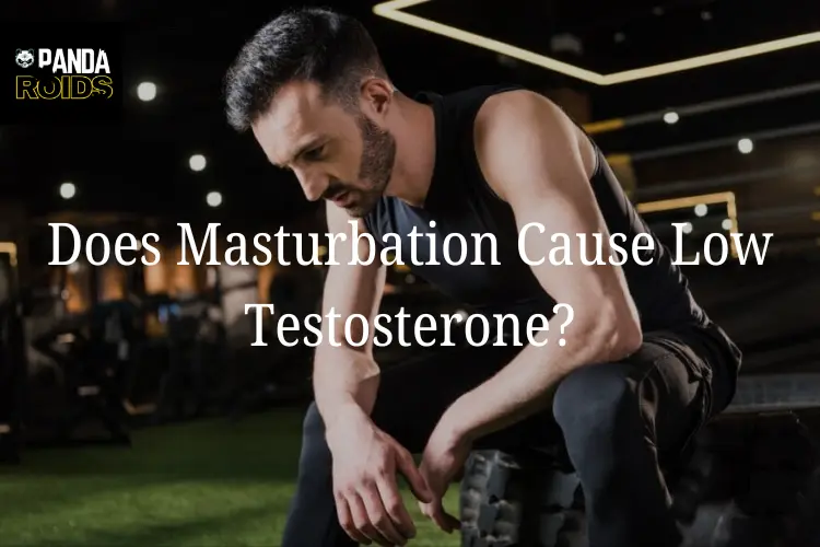 Does Frequent Masturbation Impact Your Testosterone? The F acts Explained