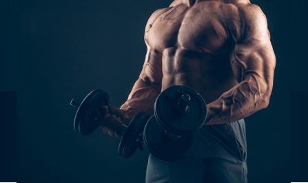 How Anabolic Steroids Work?