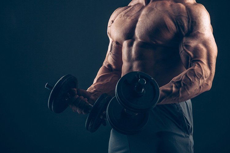 Articles Image How Anabolic Steroids Work?