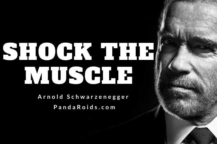The Most Influential Figure in the History of Bodybuilding - Arnold Schwarzenegger