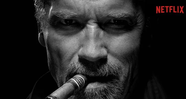 Arnold Schwarzenegger gets a spy series on Netflix.