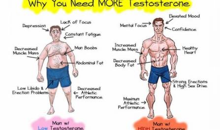 Boost the Testosterone Level - Why You Need MORE Testosterone