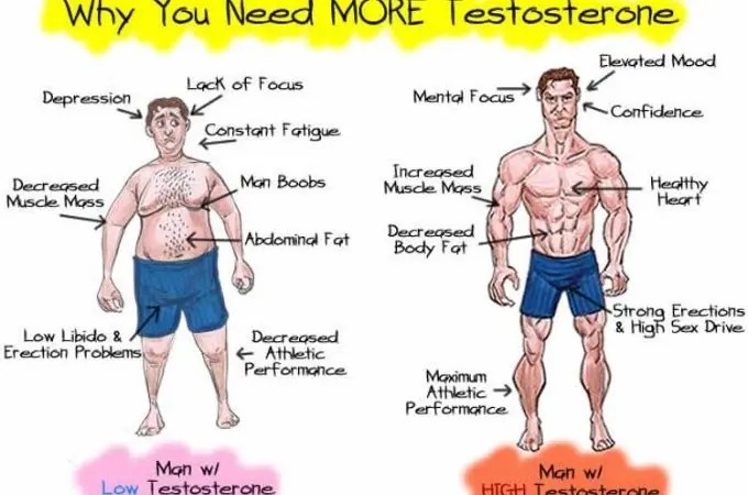 Boost the Testosterone Level - Why You Need MORE Testosterone