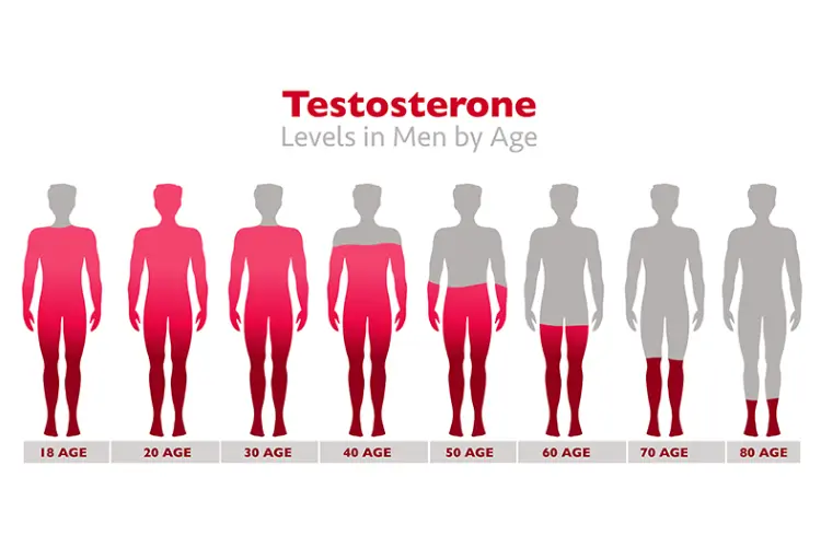 Low Testosterone by Age Does Masturbation Cause Low Testosterone?