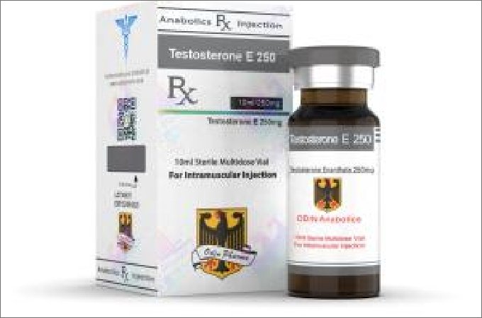 Buy Odin Pharma Testosterone to Gain Muscle