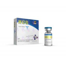HCG 10000IU - Human Chorionic Gonadotrophin - Odin Pharma