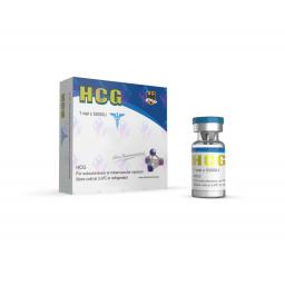 HCG 5000IU - Human Chorionic Gonadotrophin - Odin Pharma