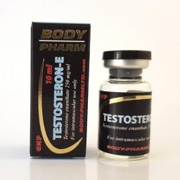 Testosteron-E - Testosterone Enanthate - BodyPharm