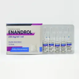 Testosterona E 250 - Enandrol