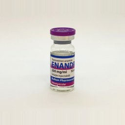 Testosterona E 10ml - Testosterone Enanthate - Balkan Pharmaceuticals