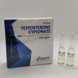 Testosterone Cypionate (amps) - Testosterone Cypionate - Genetic Pharmaceuticals