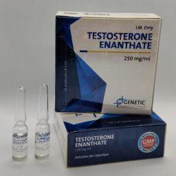 Testosterone Enanthate (amps)
